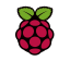 Raspberry Pi Logo